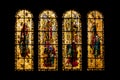 Vitrage of the Saint-Malo Cathedral Royalty Free Stock Photo
